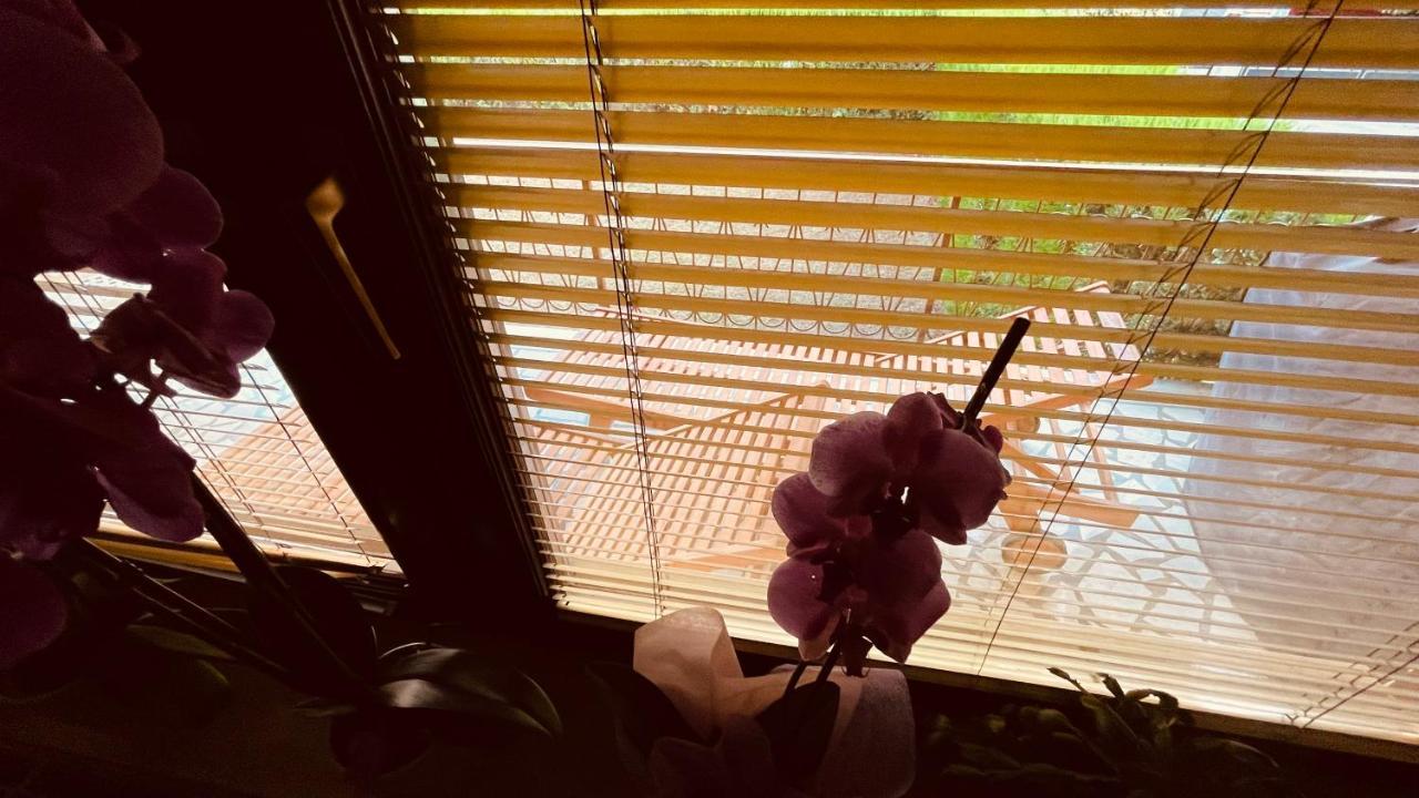 Апартаменты The Secret Orchid Ровинь Экстерьер фото